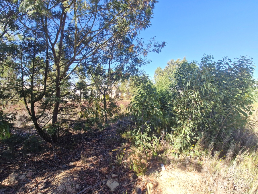 0 Bedroom Property for Sale in Middleton Western Cape